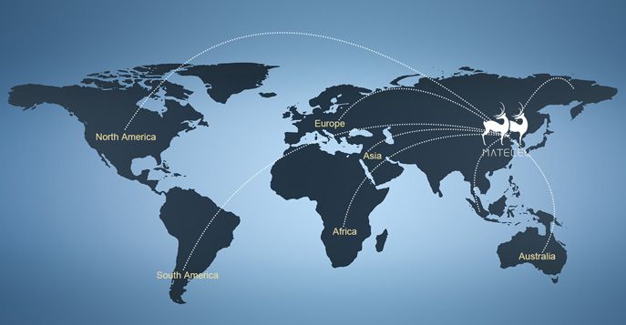 Los productos se han exportado a muchos países y regiones como el sudeste asiático, Rusia, América Latina, Oriente Medio, etc. La calidad y el embalaje de nuestros productos han sido ampliamente reconocidos en el mercado global.